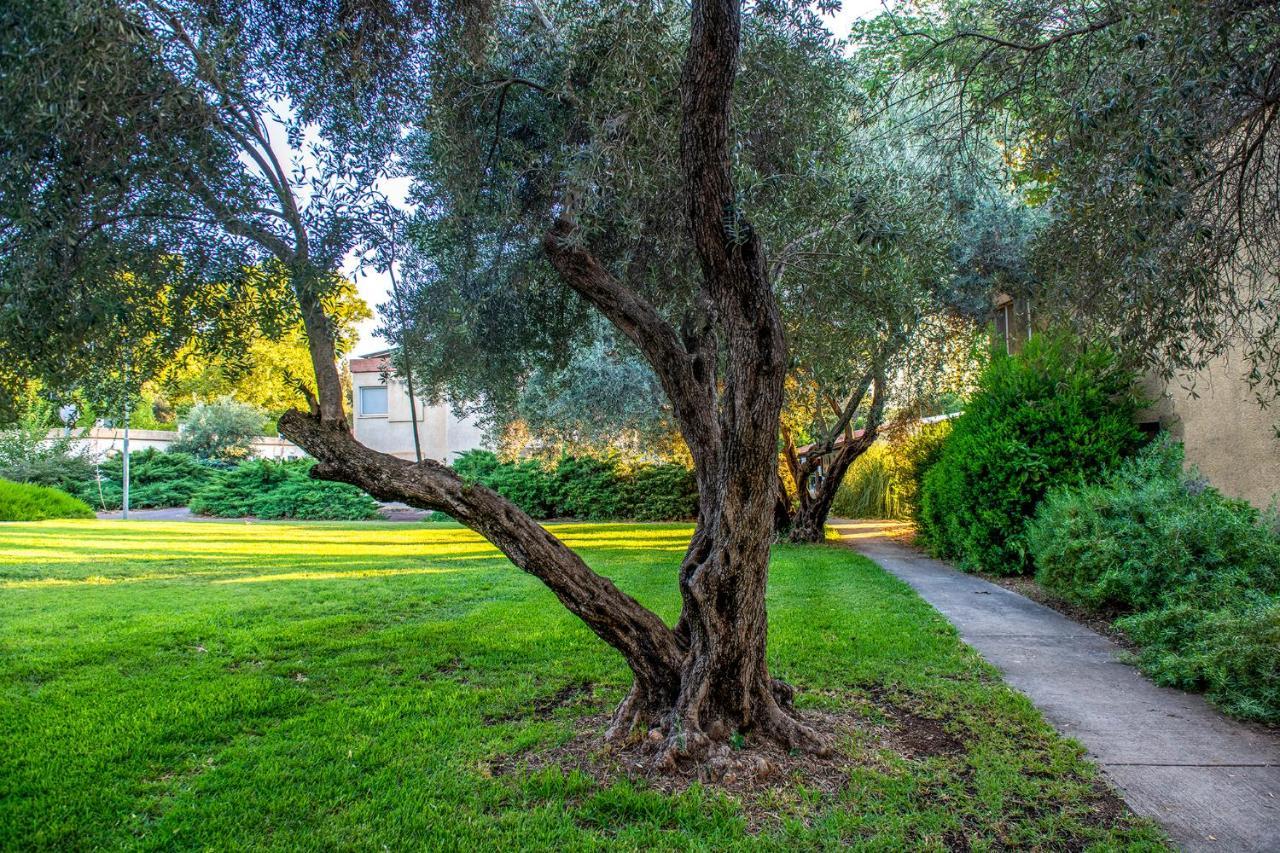 כפר הנופש קיבוץ גדות Kibbutz Gadot Galilean Resort Εξωτερικό φωτογραφία