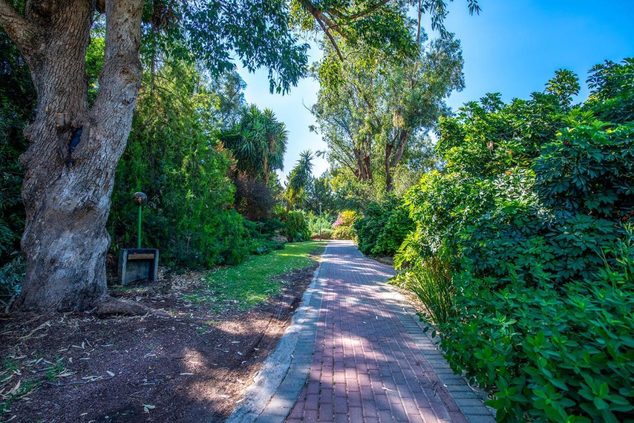 כפר הנופש קיבוץ גדות Kibbutz Gadot Galilean Resort Εξωτερικό φωτογραφία