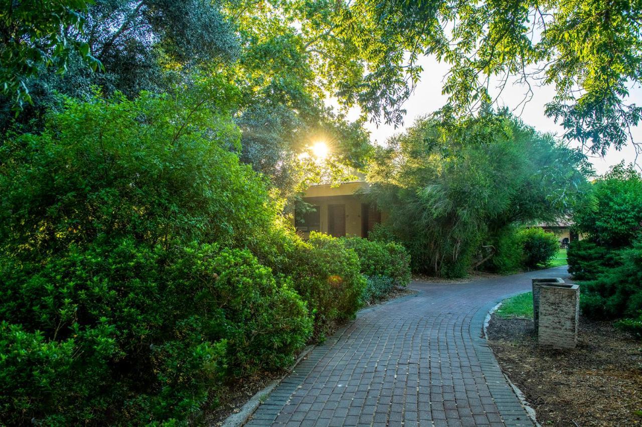 כפר הנופש קיבוץ גדות Kibbutz Gadot Galilean Resort Εξωτερικό φωτογραφία