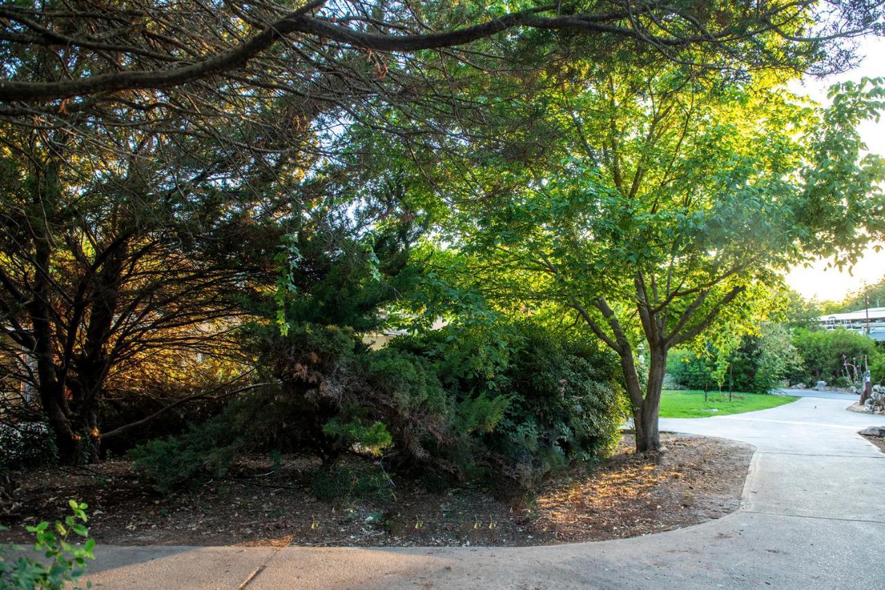 כפר הנופש קיבוץ גדות Kibbutz Gadot Galilean Resort Εξωτερικό φωτογραφία