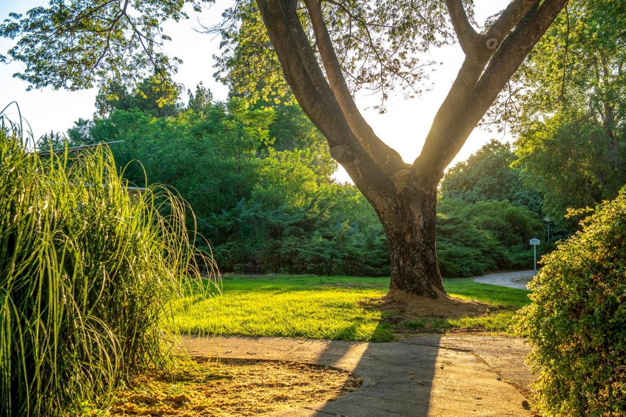 כפר הנופש קיבוץ גדות Kibbutz Gadot Galilean Resort Εξωτερικό φωτογραφία