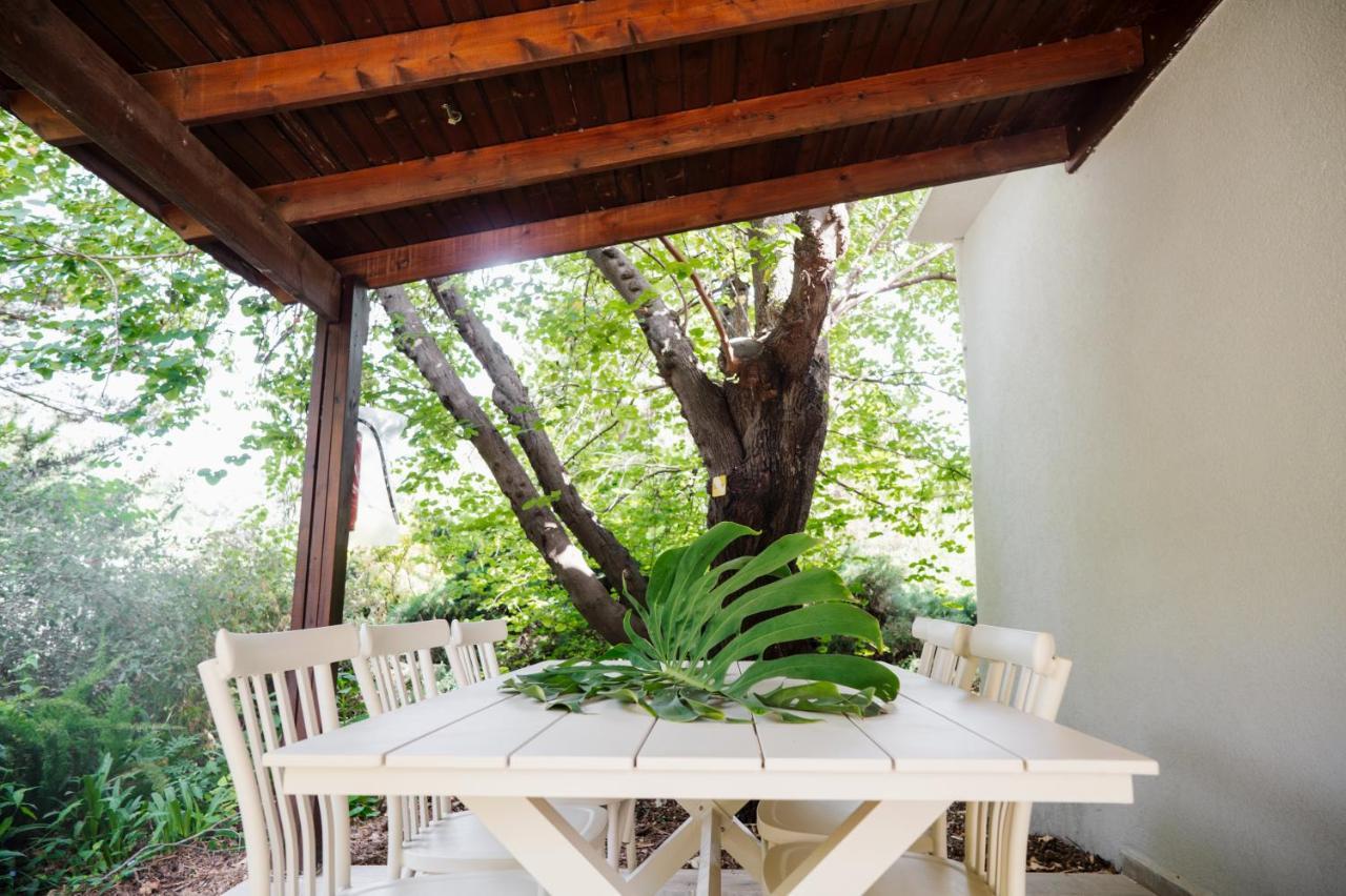כפר הנופש קיבוץ גדות Kibbutz Gadot Galilean Resort Εξωτερικό φωτογραφία
